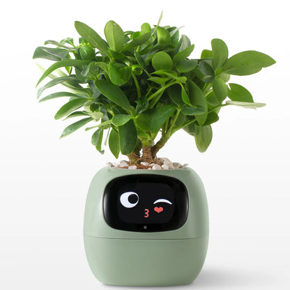 FloraSense – Inteligentna Doniczka