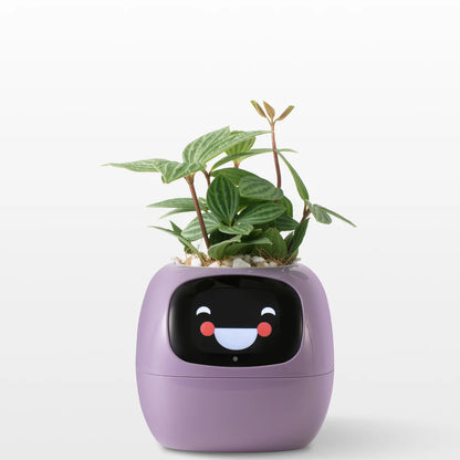 FloraSense – Inteligentna Doniczka