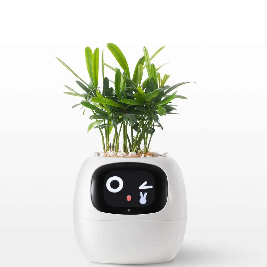 FloraSense – Inteligentna Doniczka
